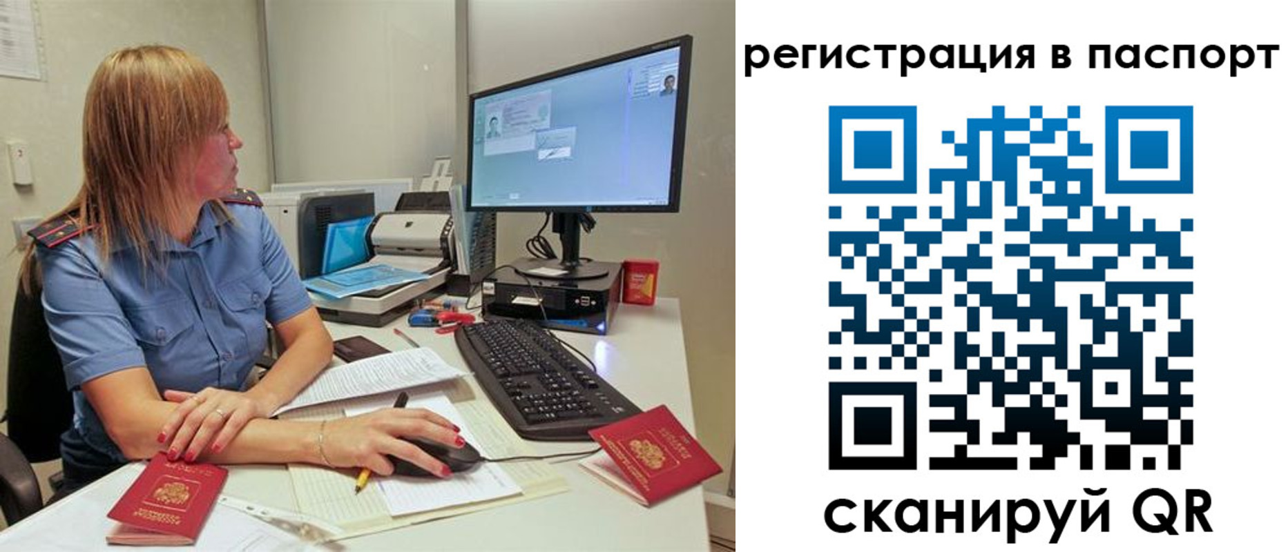 регистрация для школы в Снежногорске